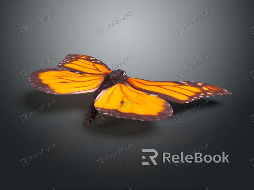 Modern Butterfly Colored Butterfly Tabby Butterfly Leaf Butterfly model