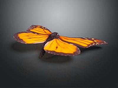 Modern Butterfly Colored Butterfly Tabby Butterfly Leaf Butterfly 3d model