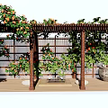 Wooden Pergola With Climbing Vines And Orange Flowers On Garden Wooden Deck