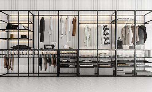 Modern wardrobe combination 3d model