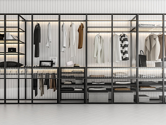 Modern wardrobe combination 3d model