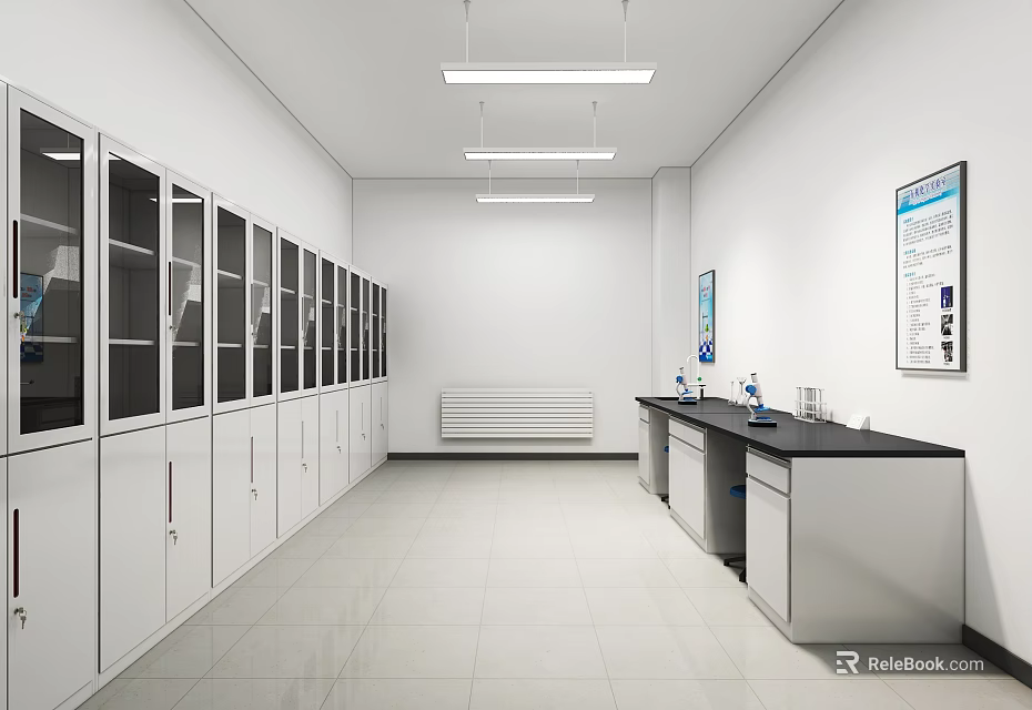 White Laboratory Long Corridor With Glass Cabinets Lab Benches Sinks And Wall Charts 3d model 
