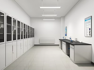 White Laboratory Long Corridor With Glass Cabinets Lab Benches Sinks And Wall Charts 3d model