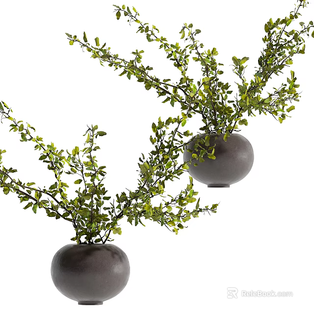 Lush Green Branches In Gray Spherical Vases For Home Decor Accents 3d model 
