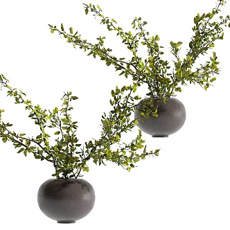 Modern plant ornaments 3d model