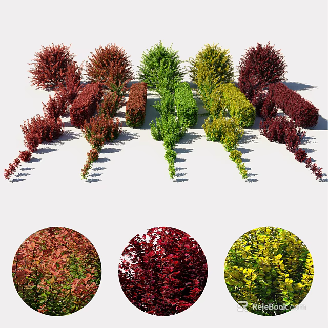 Colorful Shrubs For Garden Landscaping With Various Red Green Yellow Hues 3d model 