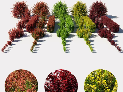 Colorful Shrubs For Garden Landscaping With Various Red Green Yellow Hues 3d model