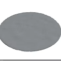 Soft Gray Round Rug with Textured Surface for Living Room Decor 3d model