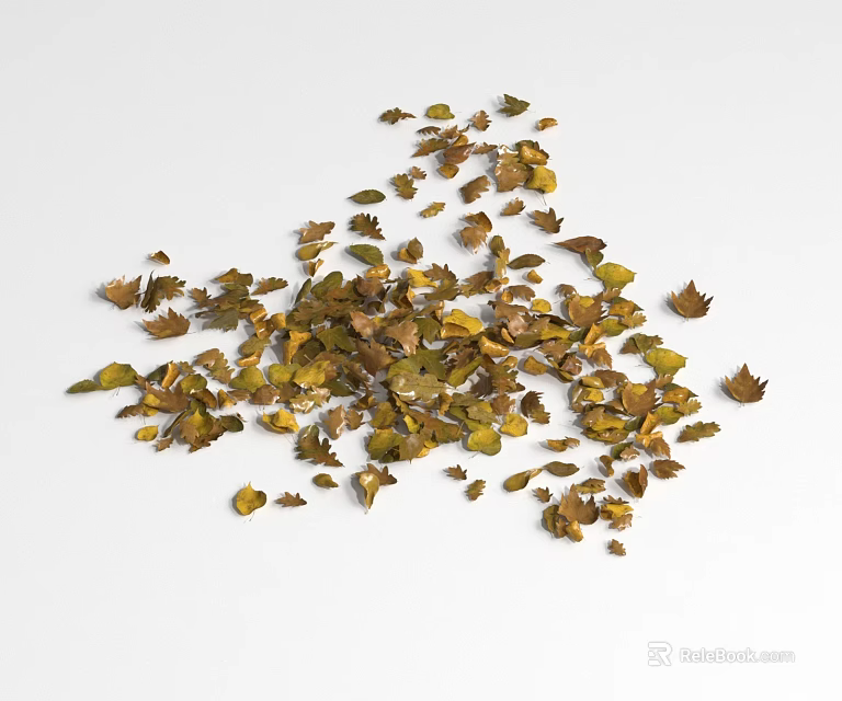 Ground Cover Leaves Green and Brown Dried Scattered on White Background 3d model 