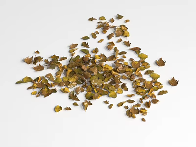 Ground Cover Leaves Green and Brown Dried Scattered on White Background 3d model