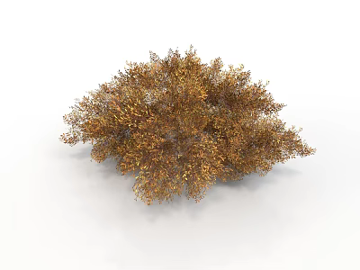 Lush Golden Shrub Like Plant With Dense Foliage And Decorative Structure 3d model