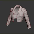 Light Gray Cropped Motorcycle Jacket With Lapel Collar And Striped Sleeves 3d model