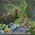Beautiful Succulent Plants Garden with Cactus Colorful Varieties and Green Vines