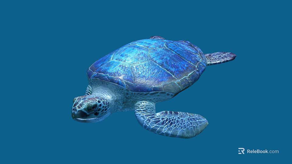 Sea Turtle Reptile With Blue Shell And Detailed Texture On Blue Background 3d model 