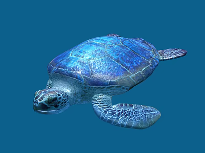 Sea Turtle Reptile With Blue Shell And Detailed Texture On Blue Background 3d model