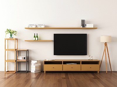 Nordic TV Cabinet TV Decoration model