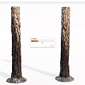 Two Arbor Tree Trunks With Natural Bark Texture On White Background 3d model