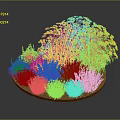Colorful Circular Flower Bed Planted With Mixed Yellow Purple Pink Flowers