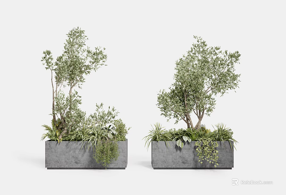 Bonsai Potted Plants In Gray Concrete Planters With Green Trees And Small Plants 3d model 