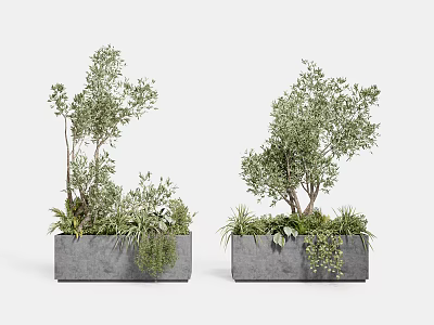Bonsai Potted Plants In Gray Concrete Planters With Green Trees And Small Plants 3d model