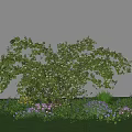 Lush Green Bush With White Flowers Surrounded By Purple And White Blooms On Green Grass