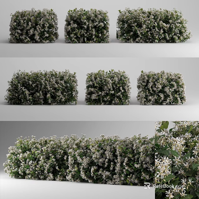 Green Leafy Bushes With White Flowers In Garden Landscaping Design 3d model 