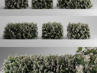 Green Leafy Bushes With White Flowers In Garden Landscaping Design 3d model