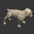 White English Bulldog Standing In Realistic 3D Render With Dark Background