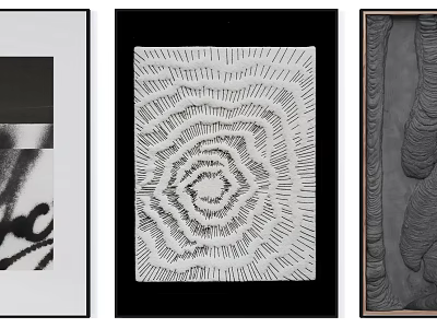 Abstract Wall Art Collection With Black White Textured Relief And Radial Patterns 3d model