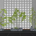 Modern landscape sketch landscape tree courtyard tree small arbor 3d model