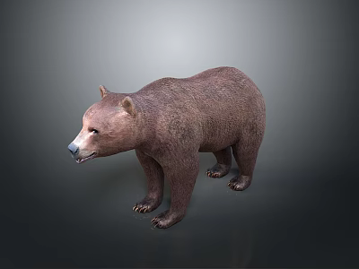 Realistic Brown Standing 3D Bear Model With Detailed Fur And Rendered Surface 3d model