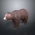 Realistic Brown Standing 3D Bear Model With Detailed Fur And Rendered Surface 3d model