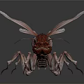3D Rendered Fantasy Insect With Transparent Wings And Long Slender Legs On White Background