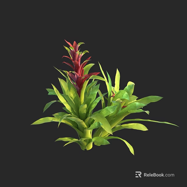 Vibrant Exotic Flower Plant With Red Bracts And Green Long Leaves 3d model 