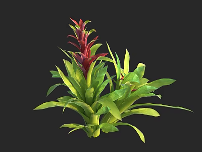Vibrant Exotic Flower Plant With Red Bracts And Green Long Leaves 3d model