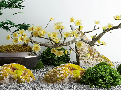 Courtyard Garden Featuring Yellow Flower Branches Moss Covered Rocks Pebbles And Green Plants 3d model
