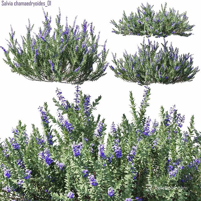 Decorative Ornament Set With Purple Flower Plants For Indoor Home Decor 3d model 