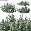 Decorative Ornament Set With Purple Flower Plants For Indoor Home Decor