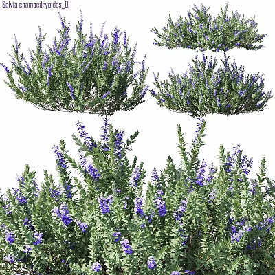 Decorative Ornament Set With Purple Flower Plants For Indoor Home Decor 3d model