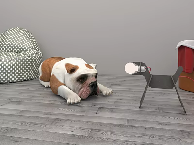 Modern Dog Bulldog 3d model