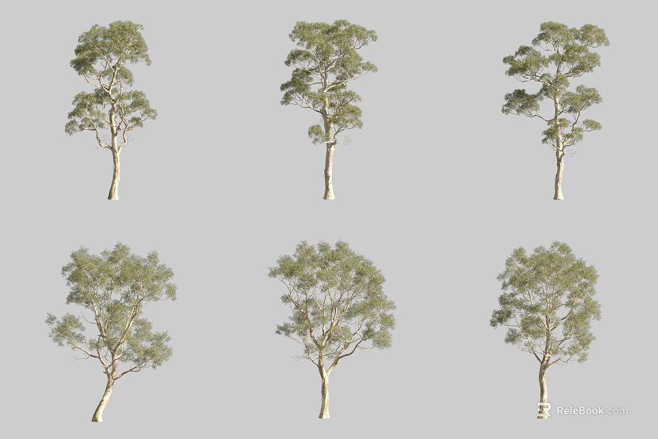 Multiple Arbor Varieties Displaying Green Foliage and Trunk Details in Views 3d model