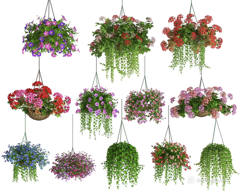 Colorful Hanging Basket Plants With Various Flower Types And Green Foliage 3d model 