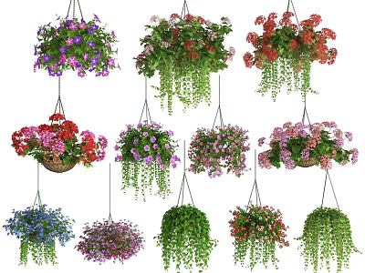 Colorful Hanging Basket Plants With Various Flower Types And Green Foliage 3d model