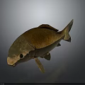Artistic Metallic Fish Sculpture With Shiny Golden Surface And Abstract Design
