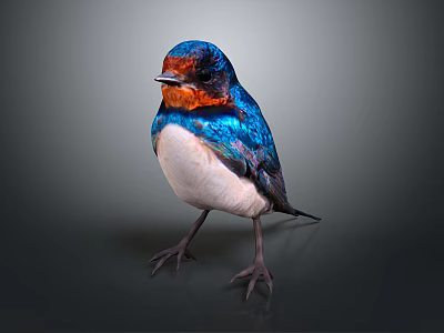 Colorful Bird With Red Head Blue Body And White Underbelly Standing On Dark Background 3d model