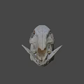Detailed Animal Skull With Natural Bone Structure Isolated On Black Background