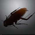 Detailed 3D Rendered Cockroach With Red Brown Body And Orange Back On Gray Gradient Background