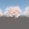 Three Flowering Arbor Trees With Pink Blossoms Against Light Blue Background