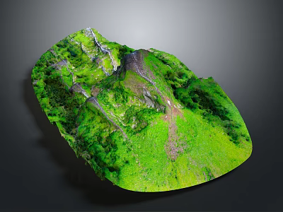 Detailed Garden Landscape With Lush Green Vegetation And Natural Terrain Structure 3d model