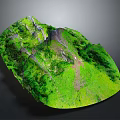 Detailed Garden Landscape With Lush Green Vegetation And Natural Terrain Structure